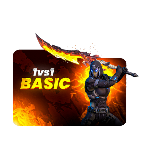 1v1 basic Plan